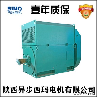 许昌西玛电机供应YKK560-10/YKK5603-10/500KW/IC611冷却方式/SKF轴承笼型转子高压电机图4