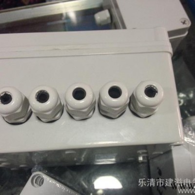 高品质塑料接线盒 ABS防水盒 密封LED电缆户外分线盒 路灯电源盒图2