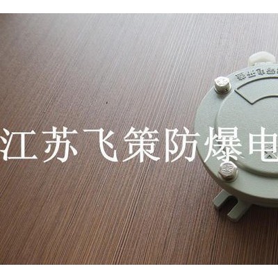 直销AH系列防爆接线盒平盖江苏飞策防爆供应商价格质量有保障图2