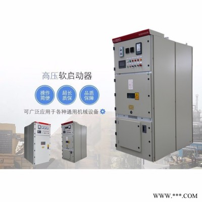 施耐德三合一高压电机软启动柜说明书  ZSSGQH固态启动柜的技术指标图4