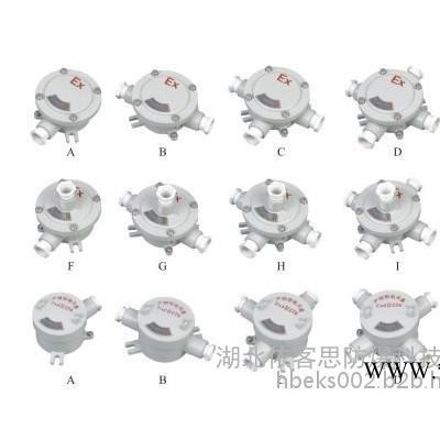 防爆接线盒BHD51-G1/2-B图3