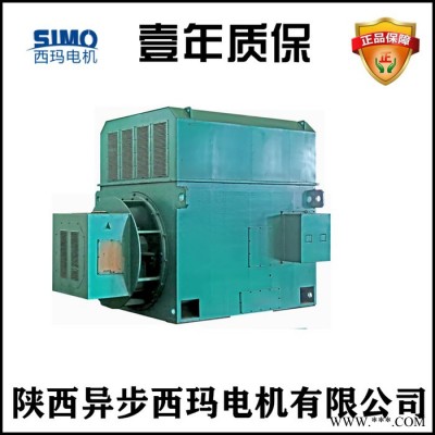 西安泰富西玛电机厂YR8003-12 2000KW 6KV压缩机专用高压绕线转子电机图3