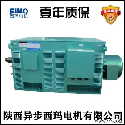 西安泰富西玛电机厂YR8003-12 2000KW 6KV压缩机专用高压绕线转子电机图4