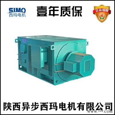 西安泰富西玛电机厂YR8003-12 2000KW 6KV压缩机专用高压绕线转子电机图2