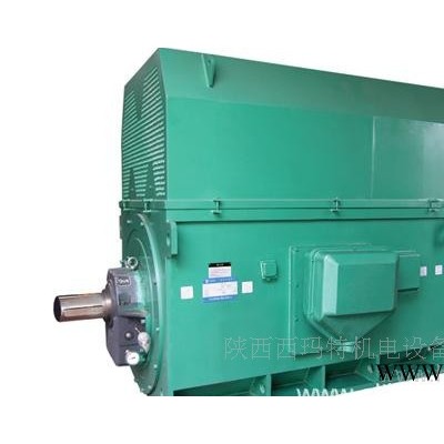 西安西玛电机YKS4005-6 315KW 6KV IP54高压电机图2