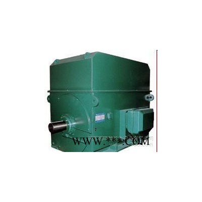 西安西玛电机YKS4005-6 315KW 6KV IP54高压电机图3