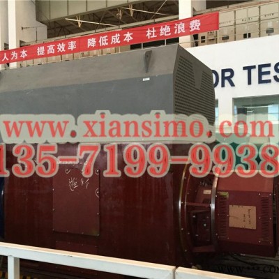 YVF变频高压电机YVF5601-4/YVFKK5603-4 1250KW 6KV变频调速电机图3