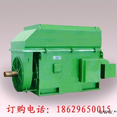 西安西玛电机YRKS7107-12 1000KW 10KV IP54绕线型高压电机图2