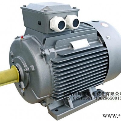 西安西玛电机YKS4503-2(滚动轴承） 900KW 6KV IP54高压电机图3