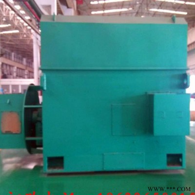 Y4002-6 250KW 10KV IP23 西安西玛电机 风机水泵等用高压电机图1