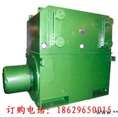 西安西玛电机YKS4501-2（滑动轴承） 710KW 6KV IP54高压电机图3