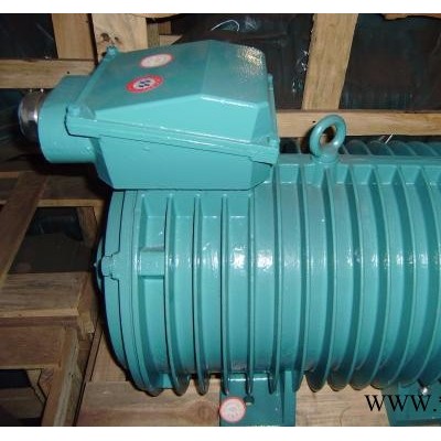 西玛电机 Y2000-10/1730/2000KW/10000V/IP23 大型高压电机图3
