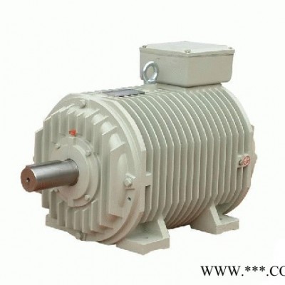 西玛电机 Y2000-10/1730/2000KW/10000V/IP23 大型高压电机图2