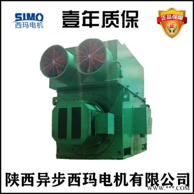合肥西玛电机销售YRKK6303-8/900KW绕线型高压电机 球磨机等设备通用图3