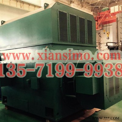 合肥西玛电机销售YRKK6303-8/900KW绕线型高压电机 球磨机等设备通用图5