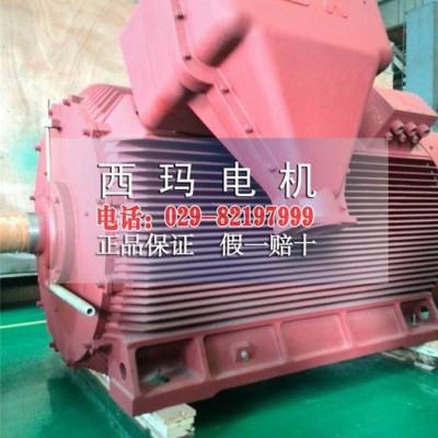 YB2-5004-8 560KW高压电机西安西玛电机图2