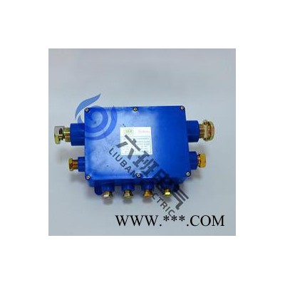 JHH-8 矿用本安电路用电缆接线盒专业生产**图2