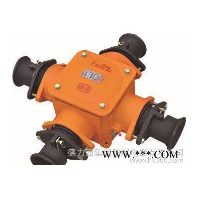 直销 德力西BHD4-4T矿用隔爆型电缆接线盒
