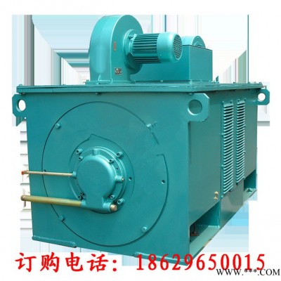 Y7107-16 560KW 10KV IP23 西安西玛电机 风机水泵等用高压电机图2