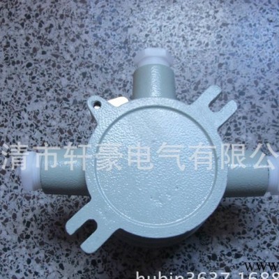 供应轩豪6分AH G3/4防爆接线盒图1