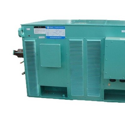 YR1000-10EM 1000KW 10KV 高压电机 西玛电机  西安西玛电机图2
