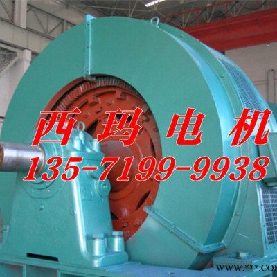 大型交流三相同步电机TDMK570-36/2900 570KW 6000V高压电机图1