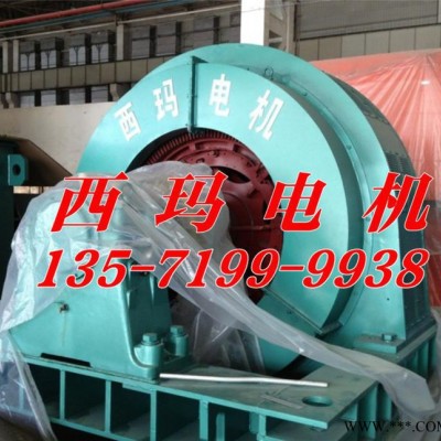 大型交流三相同步电机TDMK570-36/2900 570KW 6000V高压电机图2