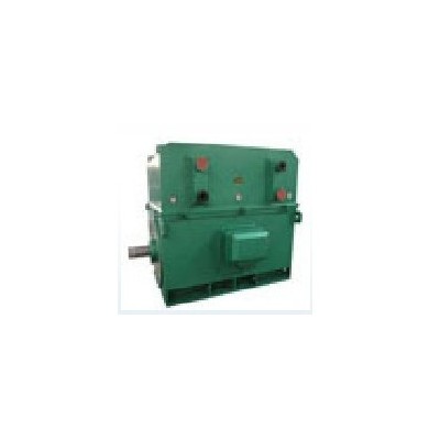 西安西玛电机YR6303-12 900KW 6KV IP23破碎机专用绕线高压电机图4