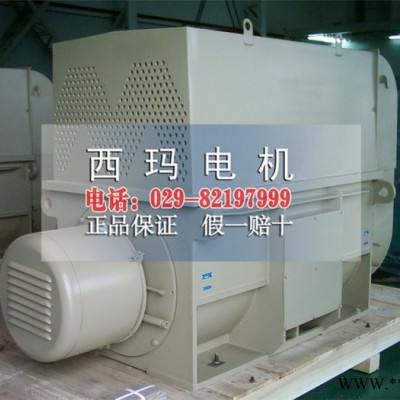 YRKS7101-12西玛牌高压电动机1120KW   6KV大型高压电机图4