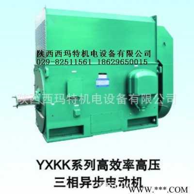 西安西玛电机YKS5004-2 1000KW 10KV IP54高压电机图2
