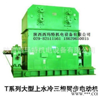 西安西玛电机YKS5004-2 1000KW 10KV IP54高压电机图3