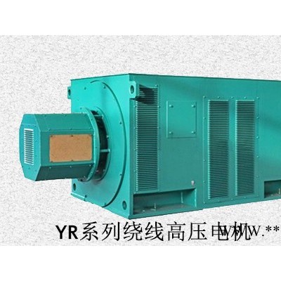 西安泰富西玛YR7104-6 2800KW高压电机 风机专用图2