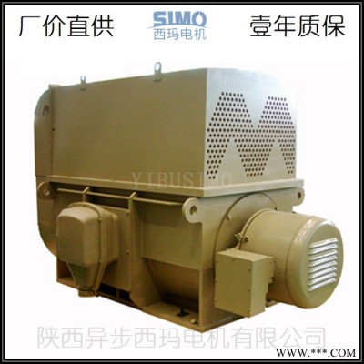 泉州西玛电机总代理YRKK800-8/YRKK8007-8/1800KW-10000V大型绕线高压电机图3