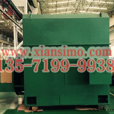 泉州西玛电机总代理YRKK800-8/YRKK8007-8/1800KW-10000V大型绕线高压电机图6