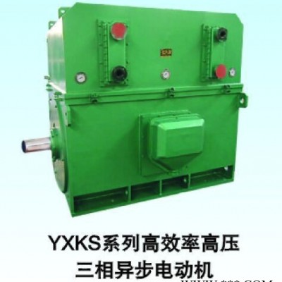 西安西玛电机YKS5602-8 710KW 10KV IP54高压电机图3