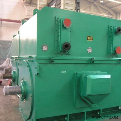 Y6304-12 800KW 10KV IP23 西安西玛电机 风机水泵等用高压电机图2