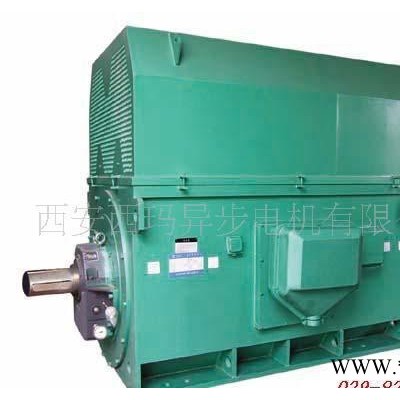 节能高压电机 西玛电机 Y系列Y4507-8 355KW 6KV三相异步电动机图3
