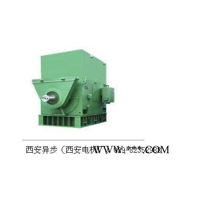 西安泰富西玛 高压电机YRKK4001-4 185KW 10KV 三相异步电动机图2