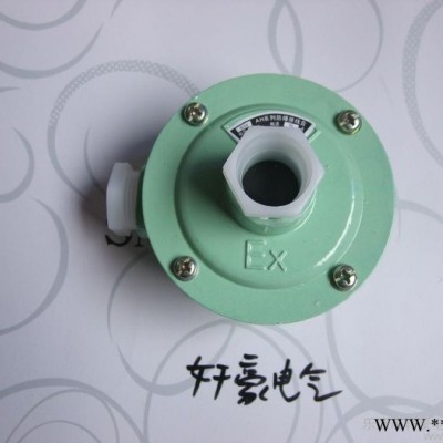 供应轩豪AH 1/2 DN15 四分防爆接线盒一通一吊图1