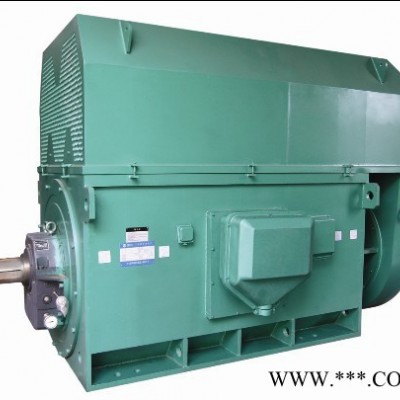 YRKK6301-4 1600KW 6KV IP44/IP54 破碎机专用西玛绕线型高压电机 西玛电机图3