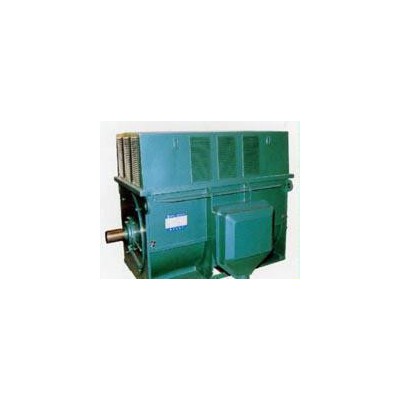 西安高压电机YKS8006-12  1250KW  10KV 三相异步电动机图2