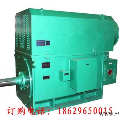 西安西玛电机高压电机YR6303-10 1120KW 6KV IP23绕线型矿山电机图2