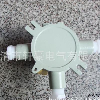 供应轩豪6分 AH防爆带吊接线盒 G3/4d CT6 防爆电气图2