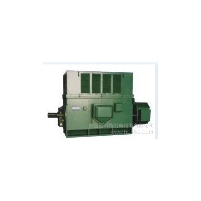 西安西玛电机YR8006-16 800KW 10KV IP23破碎机绕线型高压电机图2
