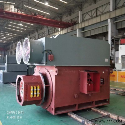 YRKK8004-16 1120KW 6KV IP44/IP54 破碎机西玛绕线型高压电机 西玛电机图2