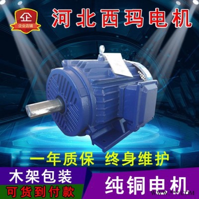 河北电机生产厂家高压电机厂家图2