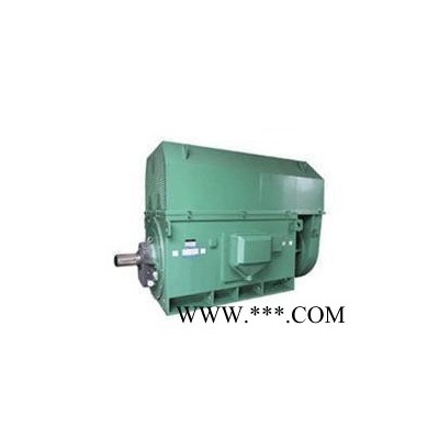 高压电机YKS系列YKS6303-2 3150KW 6KV空水冷却三相异步电动机图2
