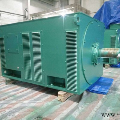 西安西玛电机YR7102-12 1250KW 6KV IP23破碎机专用绕线高压电机图3