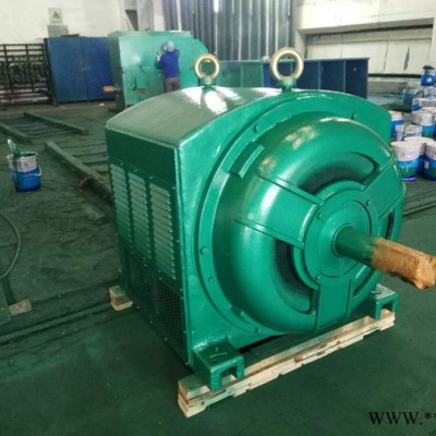 JS158-10 310KW 6KV  高压电机 西安电机厂 三相异步交流电机 西玛电机图4