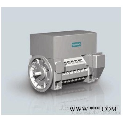 Siemens/西门子高压电机图4